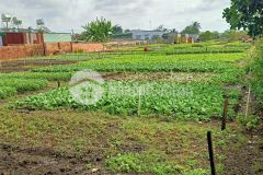 D896 bán 1.3 xào có tc hẽm võ văn kiệt giá 2 tỷ