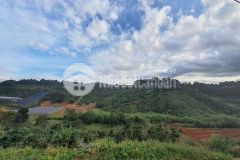 D1087 cần bán lô đất nông nghiệp hẻm ô tô xã xuân thọ tp đà lạt lâm đồng.