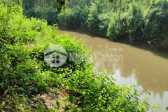 Bán 851m2 đất vườn view sông, đường hiện hữu, cách ql.1a chỉ 9km.