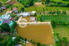 4.8trm2 đất chuyển được full xd, diện tích lớn, view đẹp