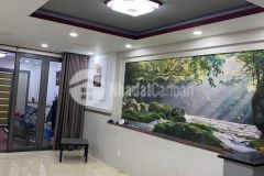 Bán nhà mặt tiền hà huy giáp 83m2 giá 12 tỷ