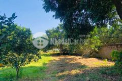 Cực hiếm đát nền 4000m tại tân lạc hòa bình chỉ 1,5 tỷ. đầu tư siêu lợi nhuận, làm nơi nghỉ dư