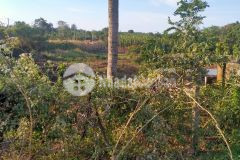 D908 bán lô đất rẽ nhất mặt tiền đường bến cát krongana giá 1.82 tỷ