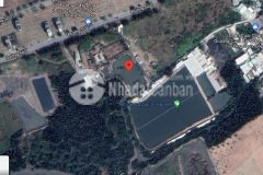 Chỉ 6trm2 có ngay 3000m2 và 1800m2 đất chung cư ngay đường 7, xã phú xuân, nhà bè