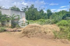 Bán đất giá đầu tư buôn cao chỉ với 1.1 ty