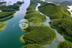 Đất nền hồ thác bà giá đầu tư