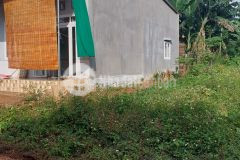 D911 bán 3 lô liền kề hẽm cấp 2 nông trường mía