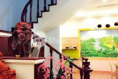 Siêu biệt thự nguyễn văn linh gara ô tô 100m2