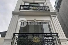 Bán nhà binh thạnh xe hơi đỗ cửa, sát quận 1, 50m2, 4,4 tỉ