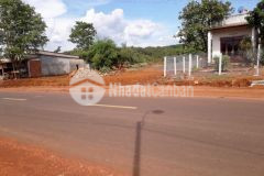 Nợ ngân hàng bán gấp 306m2 sẵn 100tc giá 296 triệu