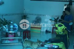 Nhà cấp 4 hẻm 14 đường 8, tăng nhơn phú b, quận 9, dt 60m23.9 tỷ.