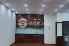 Nhà đẹp vũ ngọc phan, lô góc, kinh doanh, giá 13.2 tỷ.