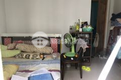 Bán gấp, nhà chính chủ, dương quảng hàm, 57m2, 5,2 tỷ.