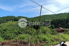 Còn 1 lô đất sổ riêng 1000m2 view rừng thông xanh tà nung tp đà lạt