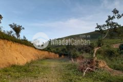 Bán đất chiềng đi đón sóng quy hoạch cao tốc hoà bình mộc châu