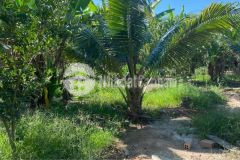 Cần bán lô đất mặt tiền tỉnh lộ 2 diên thọ diên khánh. giá 3 tỷ 7