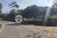 Nhỉnh 3trm2 chính chủ nhờ bán lô đất 2 mặt tiền gần kcn nhuận trạch mới