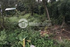 D913 bán đất hẻm hoà xuân cách ủy ban 2km