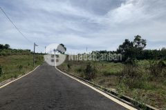 Đất đầu tư giá đầu tư