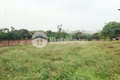 Bán đất trần phú, hà đông kinh doanh, ngõ thông, oto tránh dt 40m2, mt 3.6m giá chỉ 5.5 tỷ