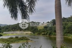 Bán đất bám hồ đường ô tô tránh cạnh khu nghỉ dưỡng vit cỏ xanh giá tốt