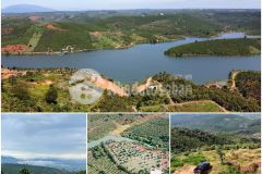 Đất sào bảo lộc chỉ 300 triệu