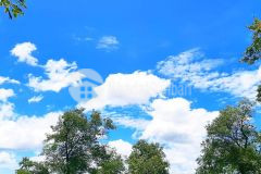 Gia đình đổ nợ cần bán gấp lô đát thổ cư trong tháng này