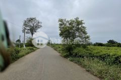 Bán đất gấp lô đát để chạy nợ ngay trong tuần