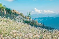 Bán gấp mảnh đất chiềng đi, vân hồ 1550m2, gồm 400m2 đất thổ cư.