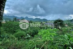 Bán cắt lỗ mảnh đất hơn 1.500m2 tại thị trấn nông trường mộc châu giá phù hợp để đầu tư