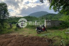 Bán 2,4hecta đất rẫy có suối đẹp lung linh cam phước tây cam lâm