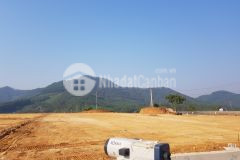 Bán đất dự án 4.1ha ở thanh sơn phú thọ