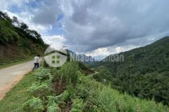 Mảnh đất gần 2000m2 tại trung tâm sapa phù hợp kinh doanh homestayfarmstay