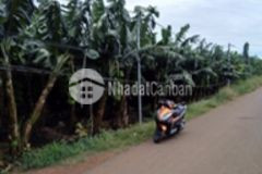 Bán lô đất mt đường xã thanh bình, trảng bom, đồng nai