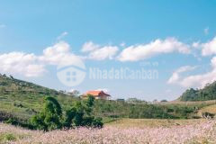 Cần bán mảnh chiềng đi đón sóng cao tốc hoà bình mộc châu