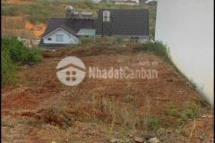D1090 cần bán gấp lô đất kqh an sơn phường 4 tp đà lạt.