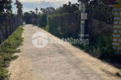 Cần bán đất tcln cách tỉnh lộ 2 190m diên thọ diên khánh 442,6m2