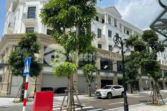 Bán gấp căn tmdv san hô giá chủ đầu tư.