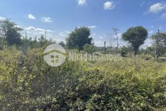 D930 bán đất eatieu gần hồ eatieu