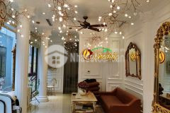 Chính chủ bán nhà mặt phố vũ tông phan kinh doanh. dt 120m6t giá 32 tỷ.