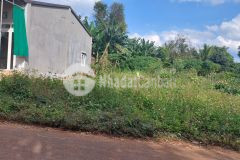 Bán 3 lô liền kề hẻm cấp 2 nông trường mía xã hòa xuân