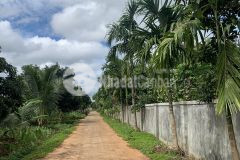 D928 bán đất xào có thổ cư ngay ủy ban draysap giá chỉ 450 triệu