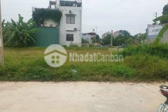 Cần bán lô đất 100m2 full thổ cư tại sơn bỉ gia khánh bình xuyên với giá cực sốc.