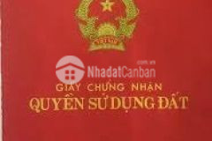 Tứ liên 7 tầng, mt 5m garage phân lôngõ ô tô tránhkiến trúc kiểu pháp.