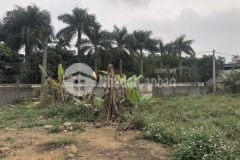 Bán đất mặt đường chính nhuận trạch gần ubnd xã dt 1380m2 giá chỉ nhỉnh 4trm2