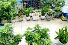 Bán nhà tân phú, hẻm xe hơi, 58m2, 4 tầng, 4pn 5.9 tỷ thương lượng