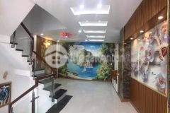 Bán nhà ngay trung tâm gò vấp giá chỉ 4,6 tỷ có ngay 68m2