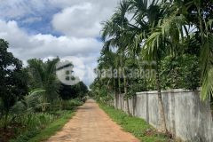 D928 bán đất dray sap krong ana ngay uỷ ban xã giá siêu rẻ cho các bác thích làm vườn.