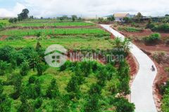 Ban gâp lô đât view sông đa nhim đa ron ven đa lat,dt 500 m2,gia chi 1.15 ty