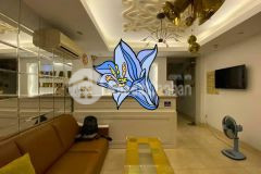 Nhà hẻm xe hơi, 60m2, 5 lầu, bình thạnh, giá 15 tỷ.